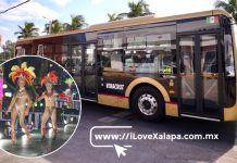 Camiones Ulúa darán pasaje gratis 4 días del Carnaval de Veracruz 2026